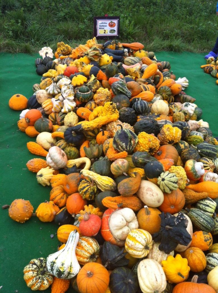 Some pumpkins for sale along the way